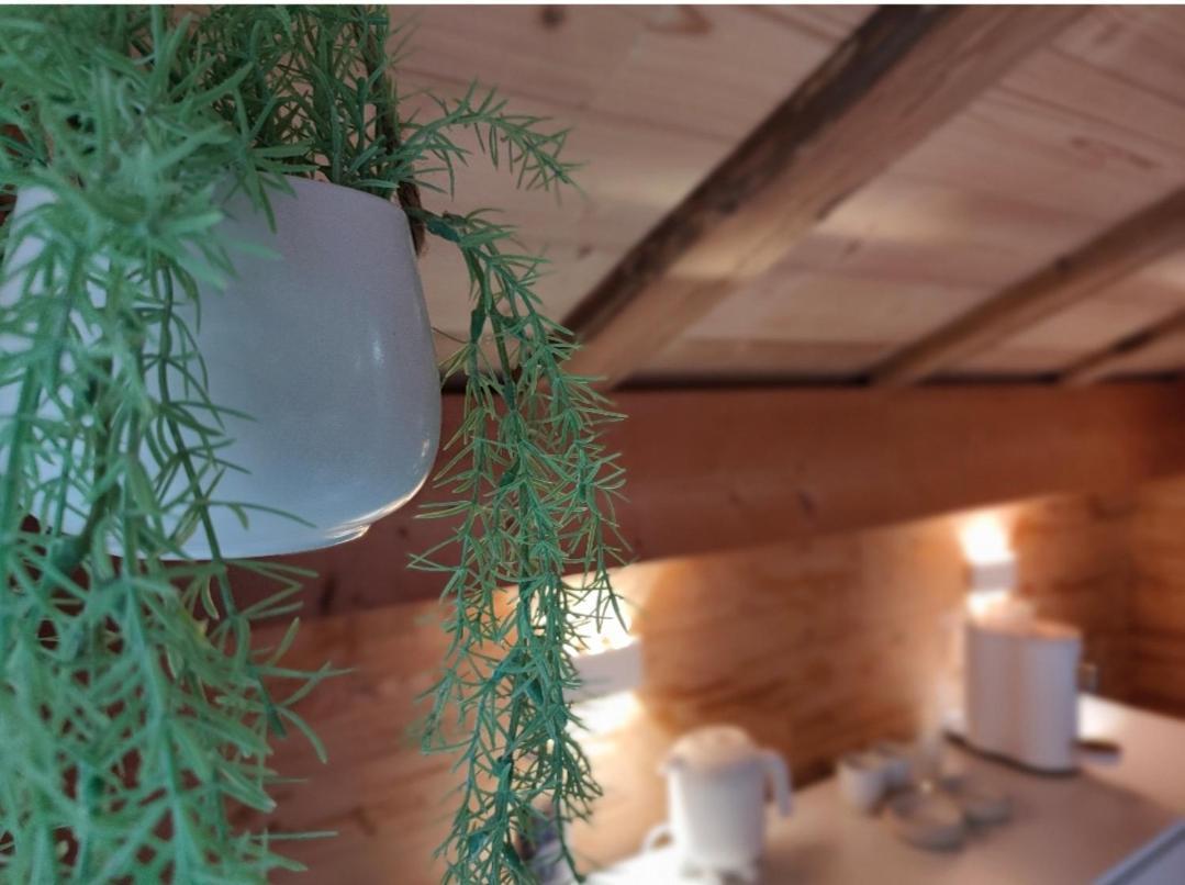 Chambre Boille A Lait Entremont Eksteriør bilde