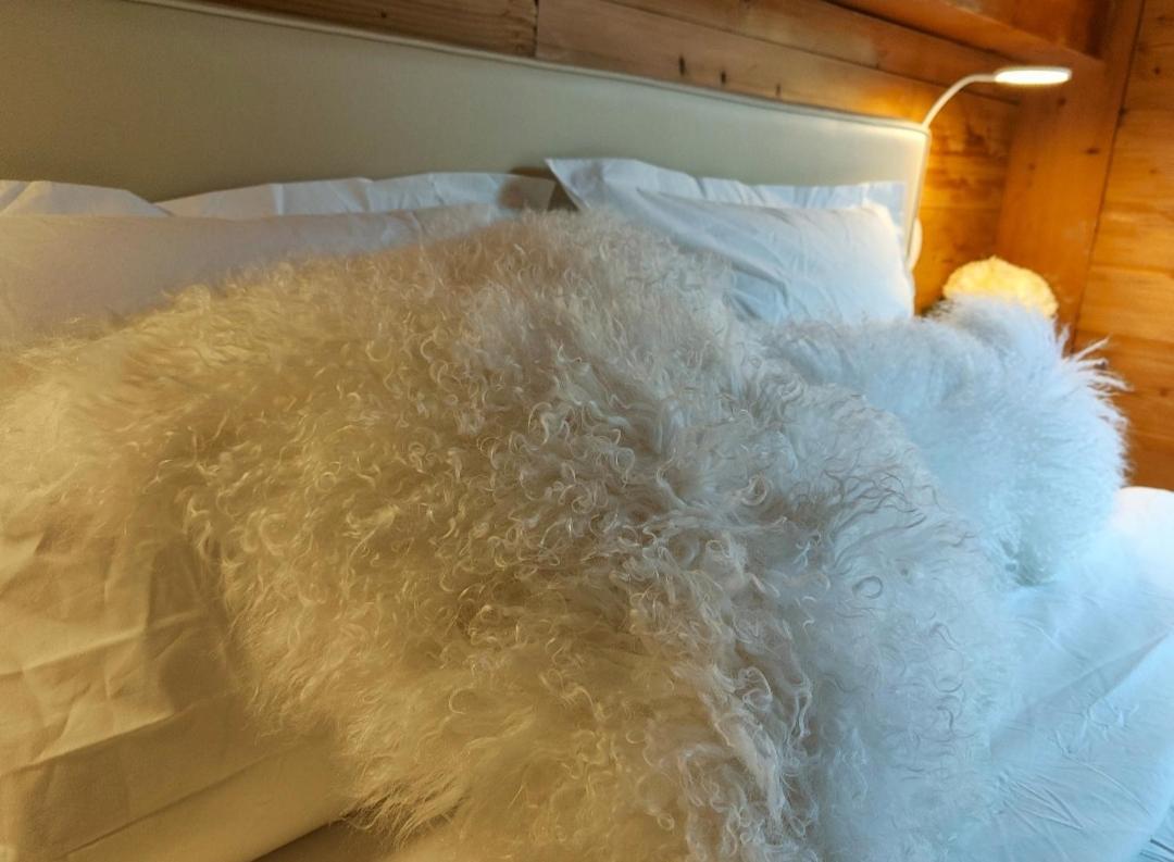 Chambre Boille A Lait Entremont Eksteriør bilde